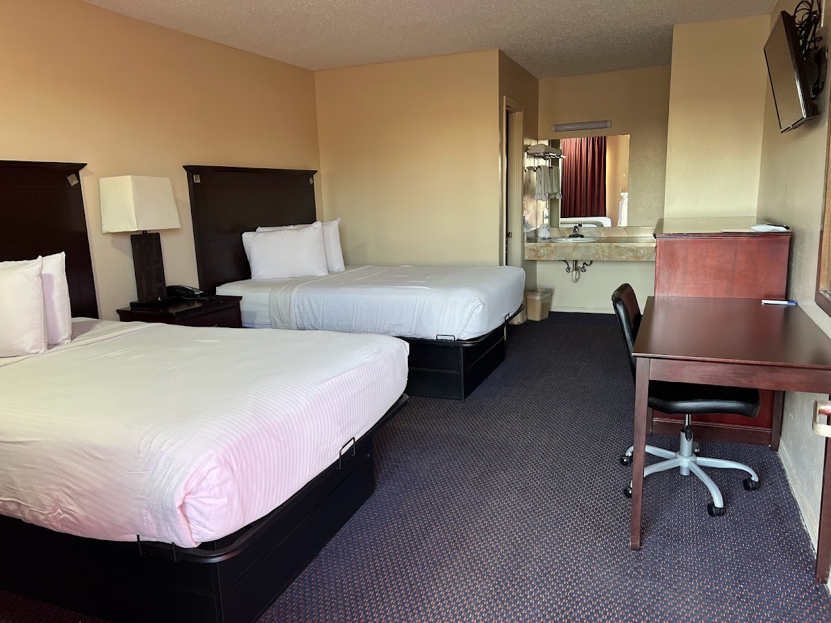 Century Motel photo 2
