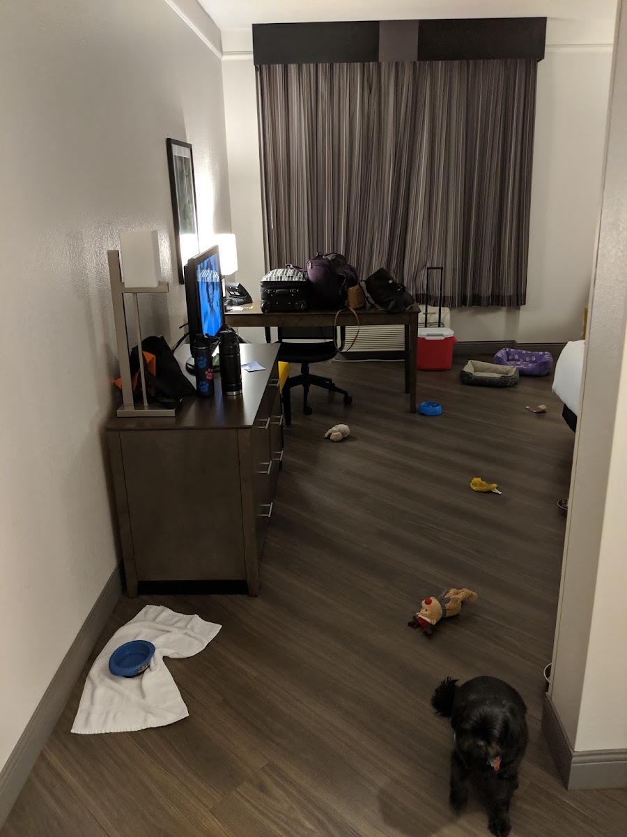 La Quinta Inn & Suites by Wyndham Atlanta Conyers photo 3