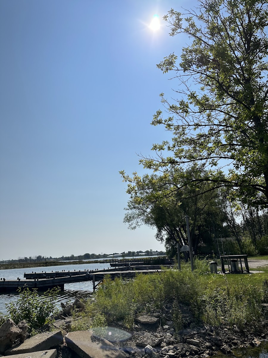 Lindberg's Cove Resort photo 3
