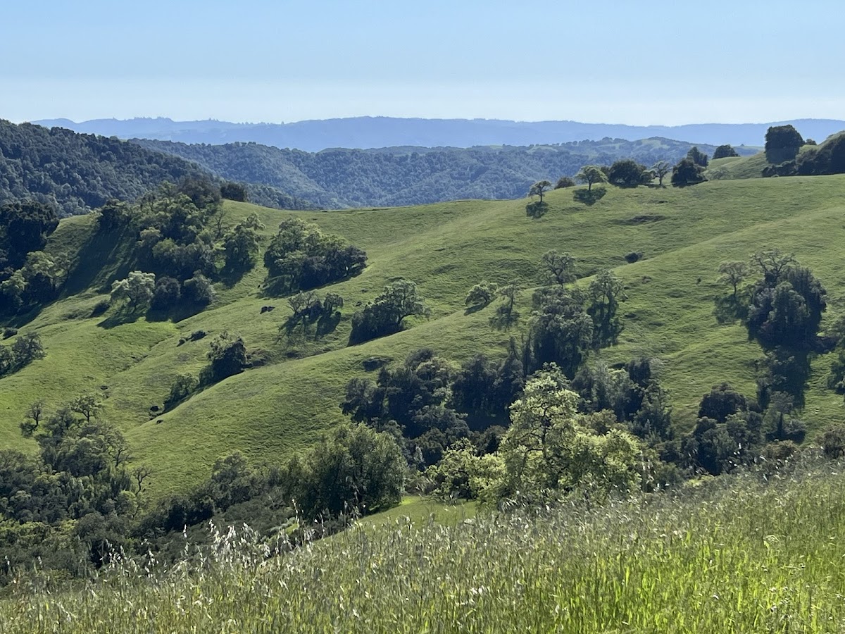 Henry W. Coe State Park