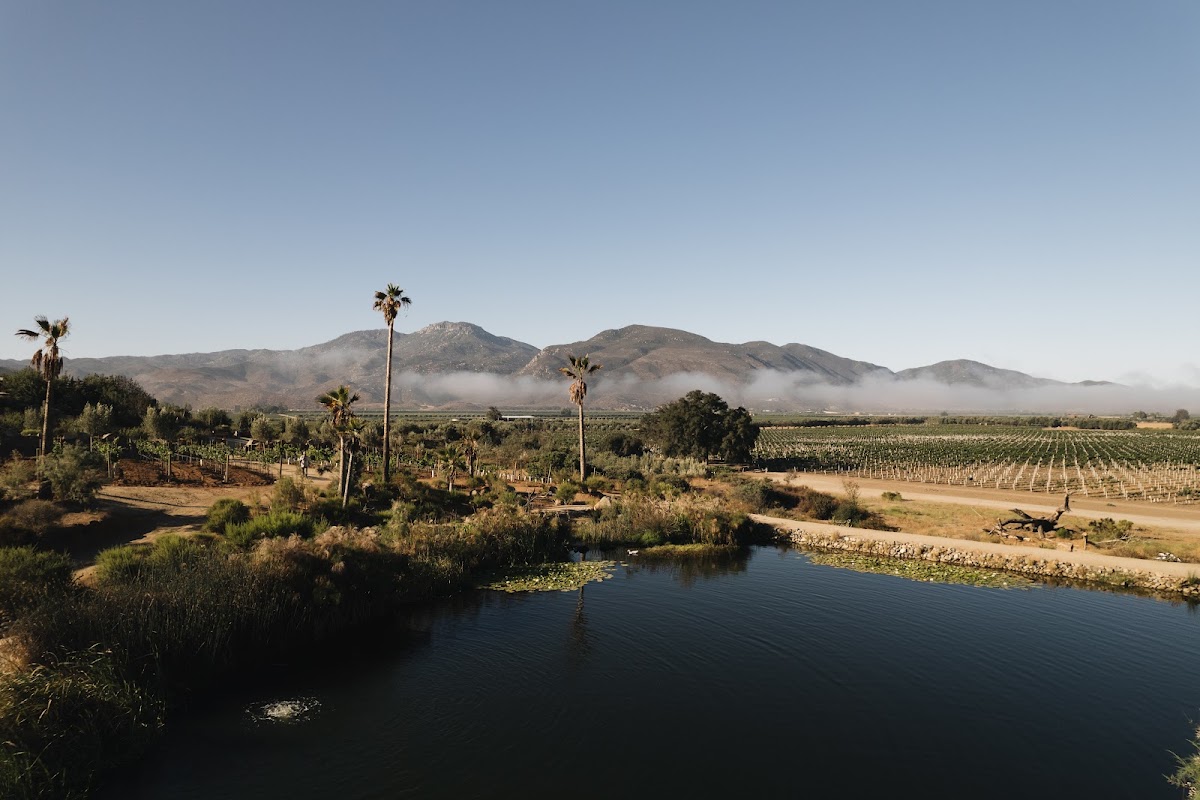 Bruma Valle de Guadalupe photo 2