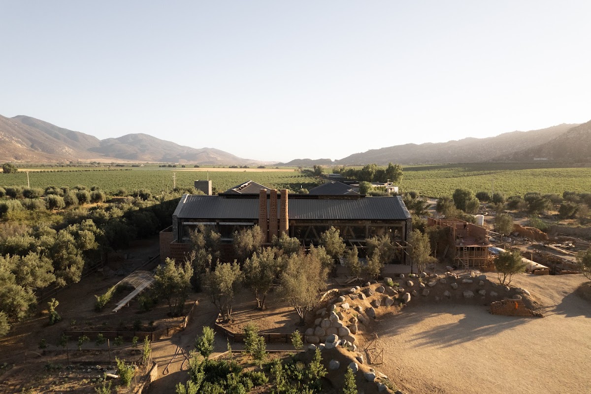 Bruma Valle de Guadalupe photo 3