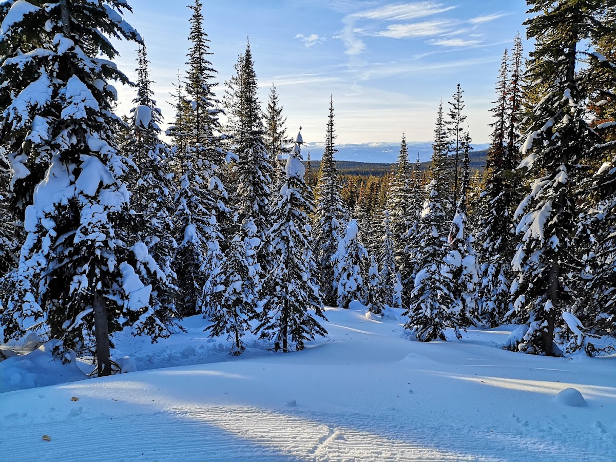 Silver Star Provincial Park