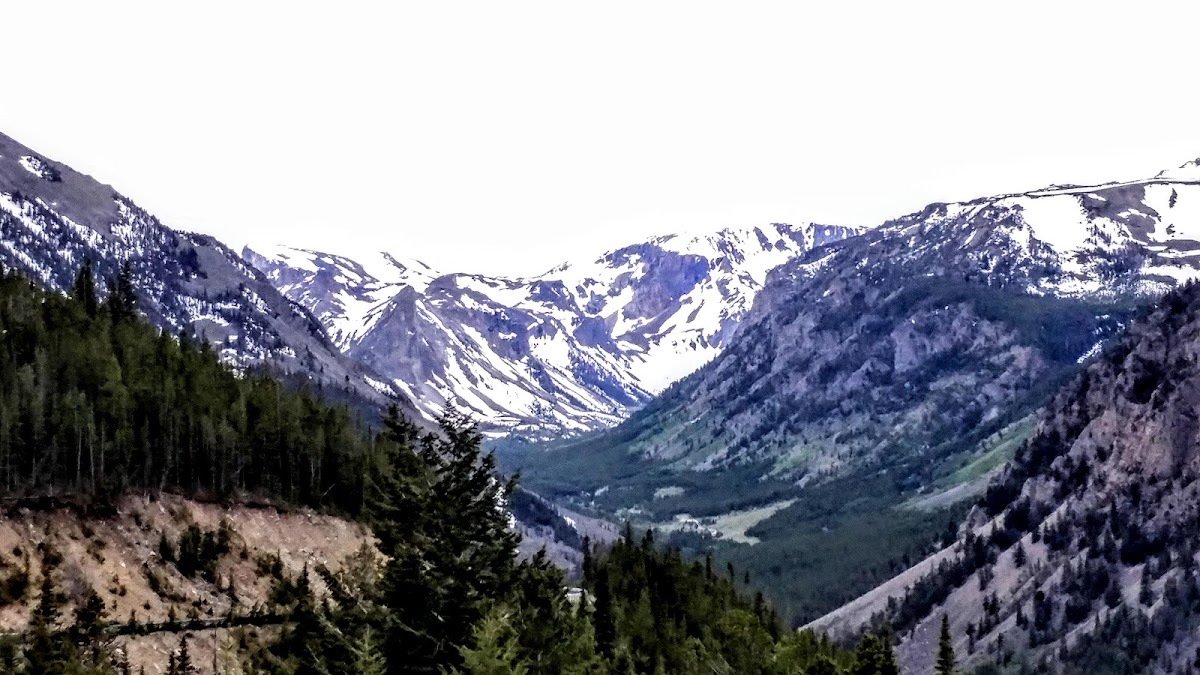 Gallatin National Forest