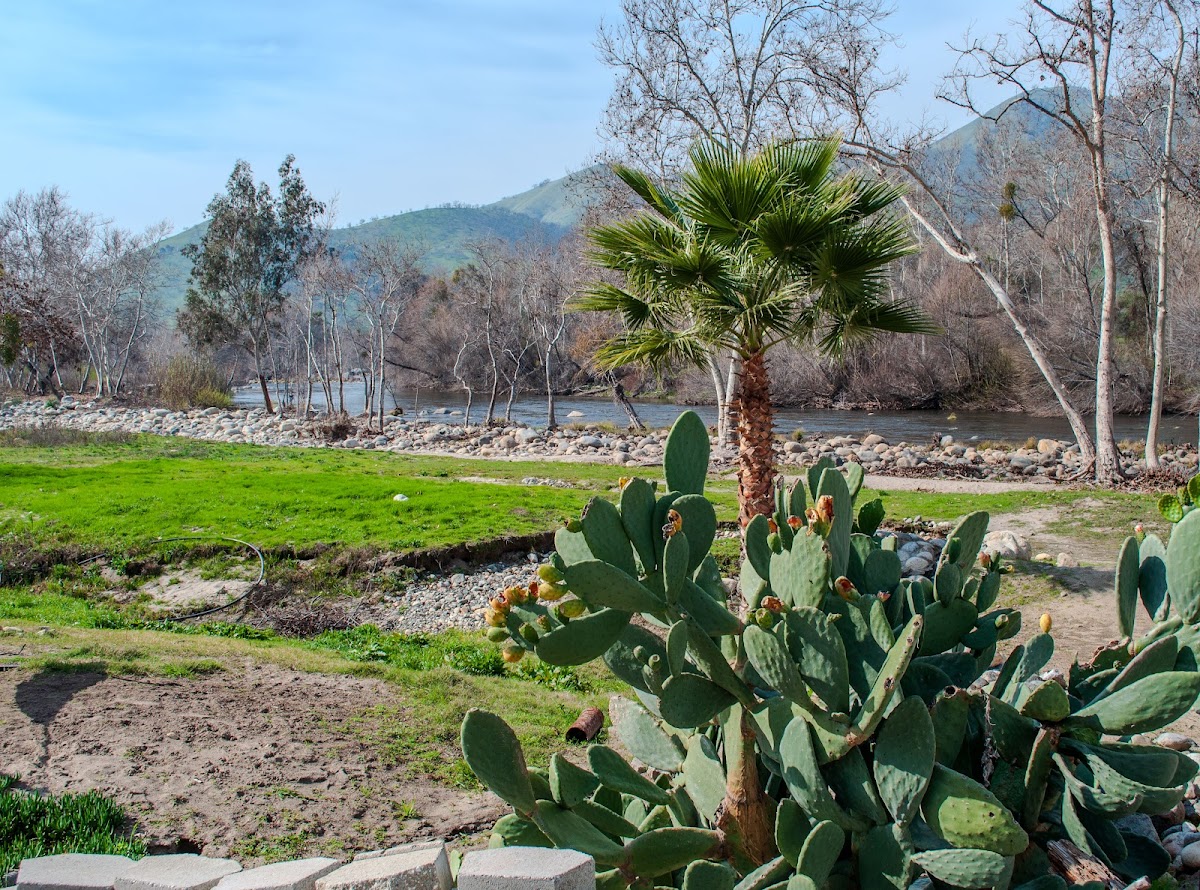 Sequoia River Front Cabins photo 3
