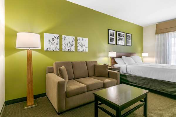 Sleep Inn & Suites Columbia I-65 photo 3