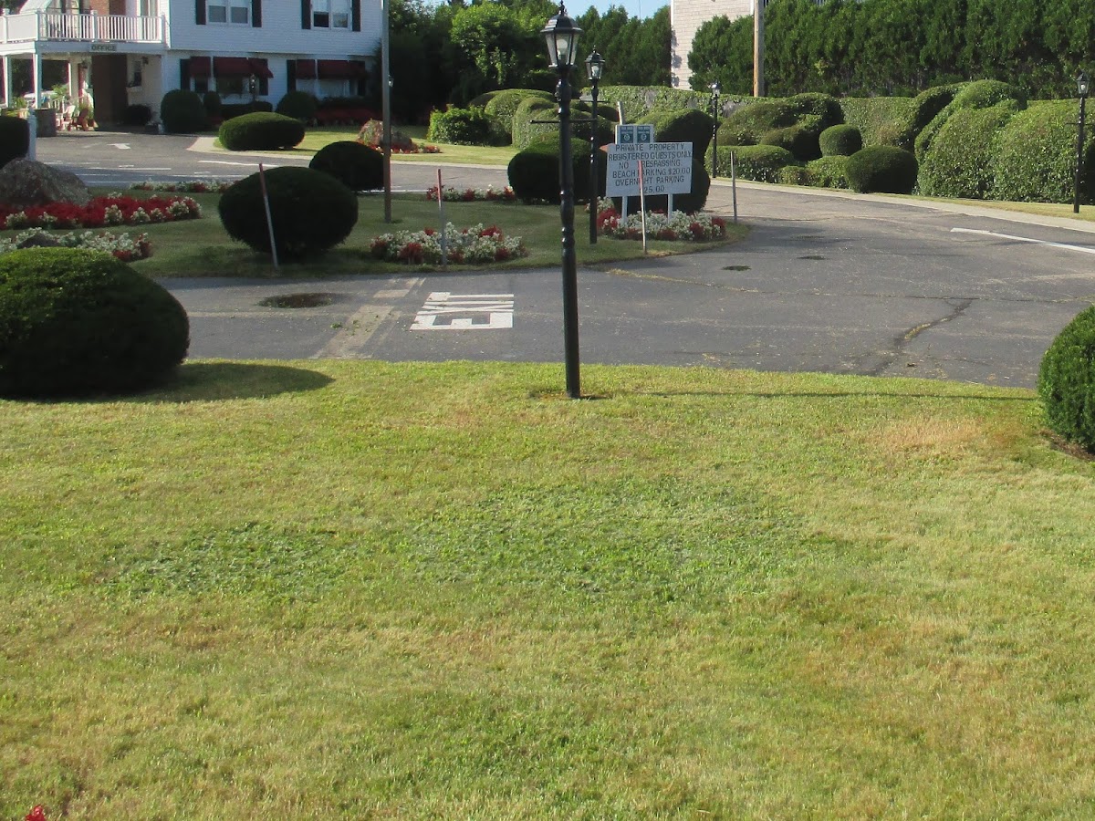 Long Beach Motor Inn photo 3