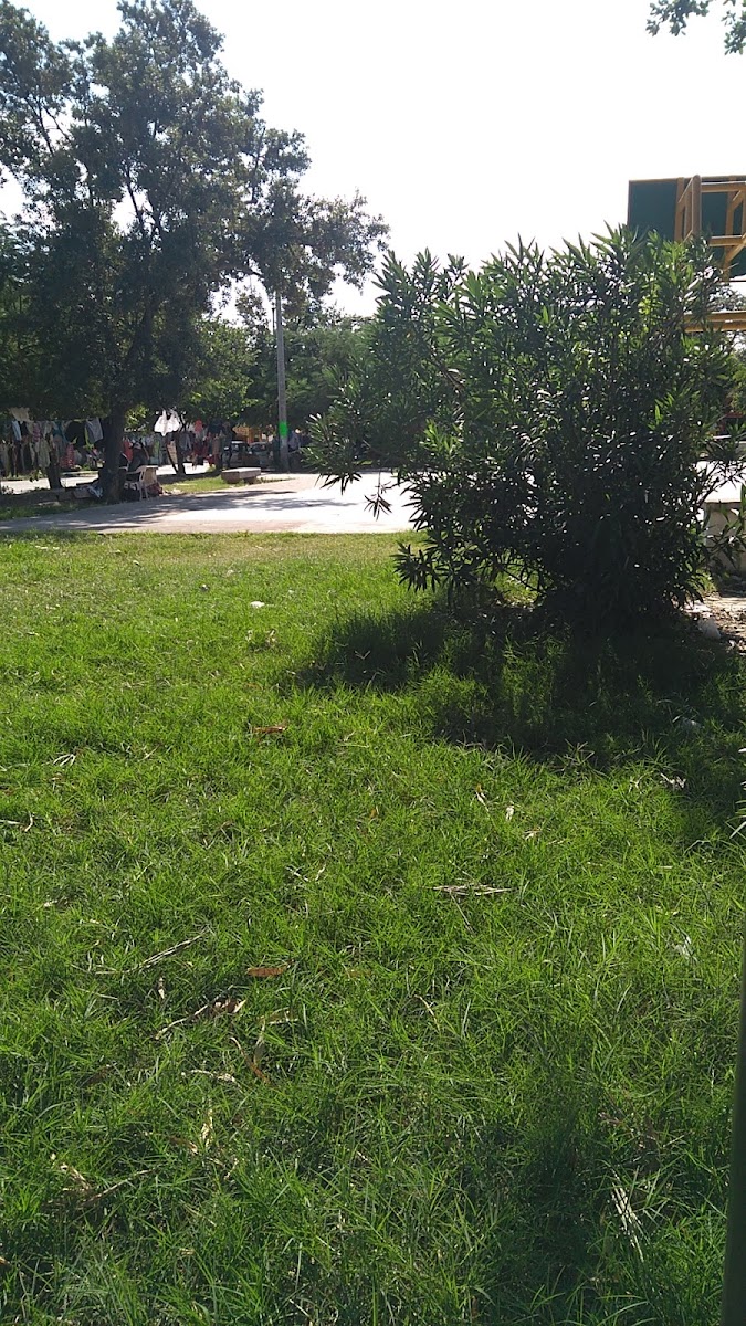 Jardines De Arboledas Park photo 3