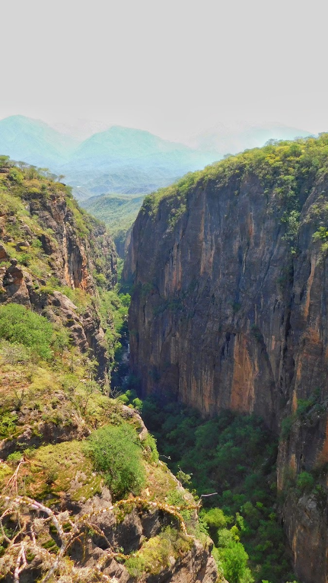 Cañon Alas Verdes