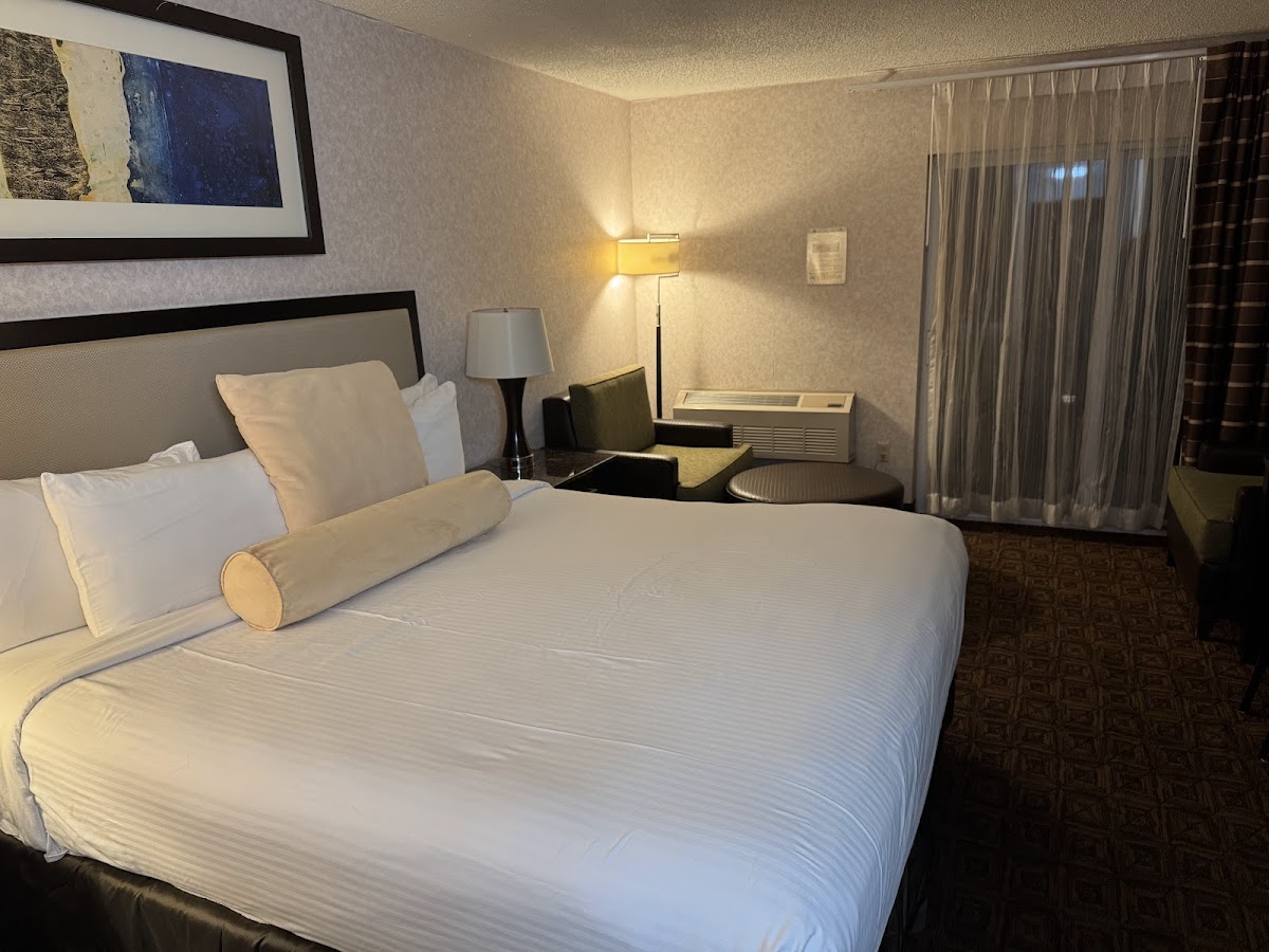 Argo Inn and Suites photo 2