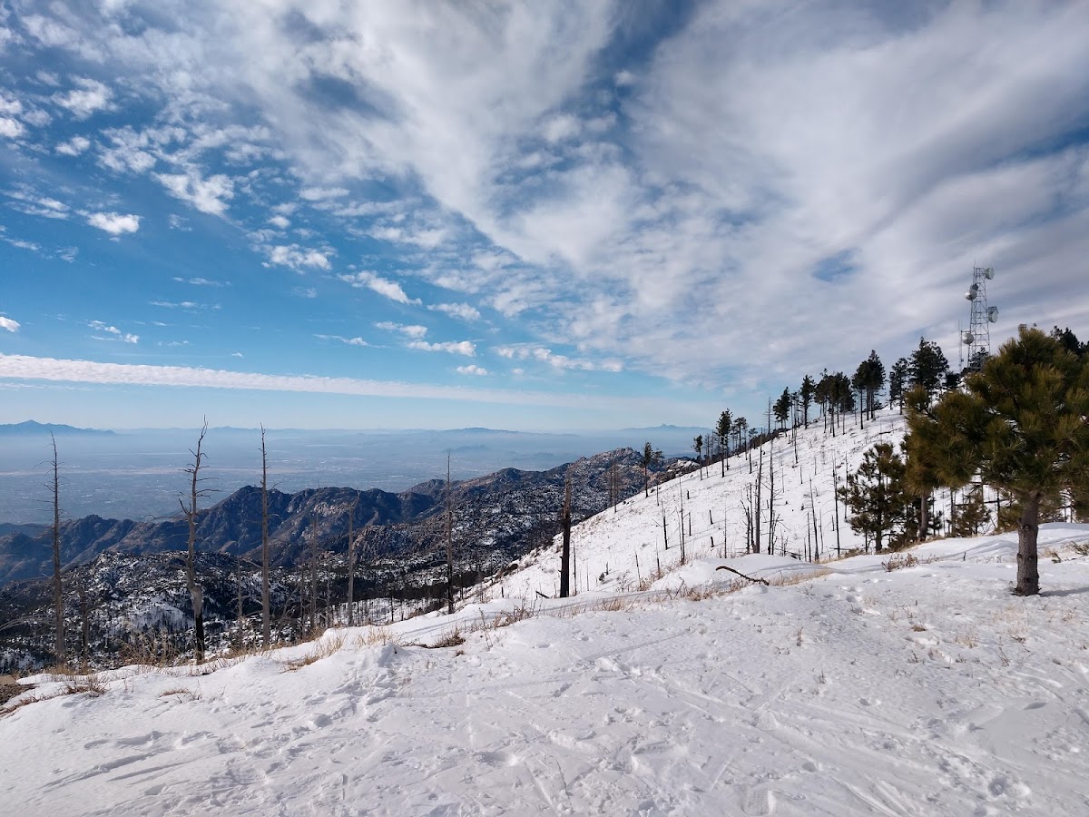 Mt Lemmon Ski Valley photo 2