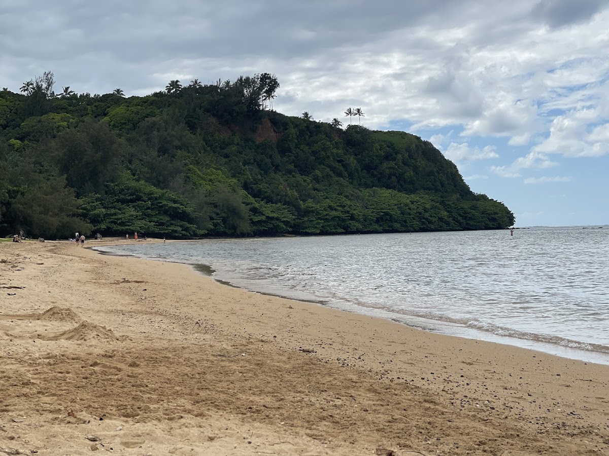 Anini Beach