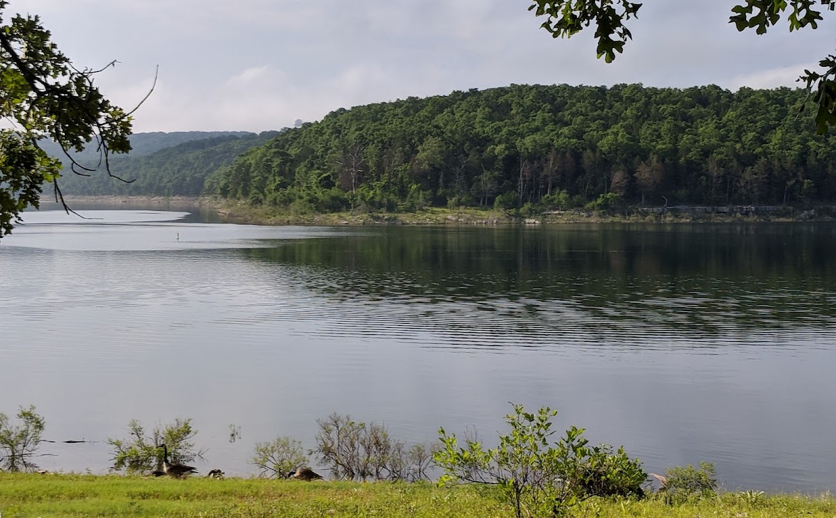 Tucker Hollow