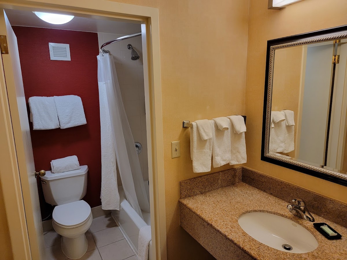 Courtyard by Marriott Birmingham Hoover photo 3