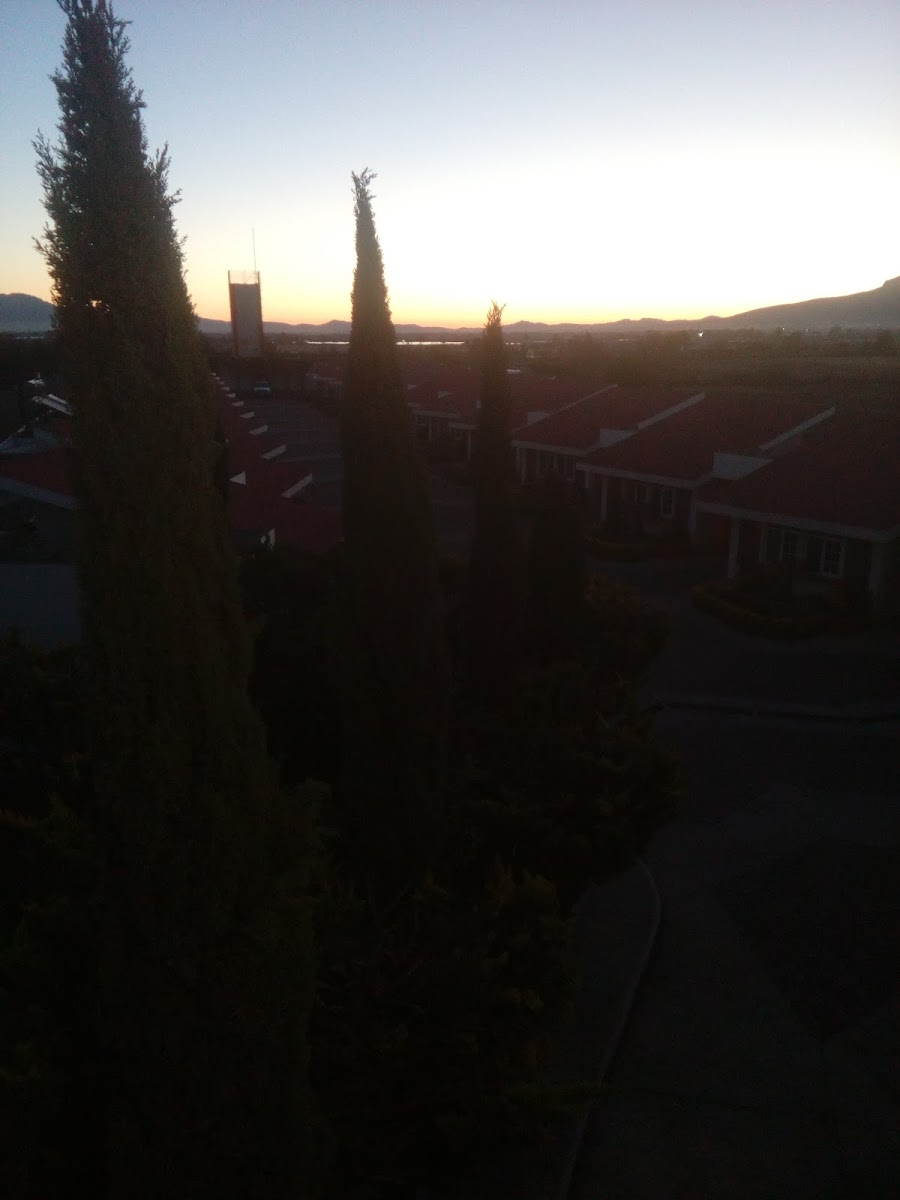 Yossef photo 2