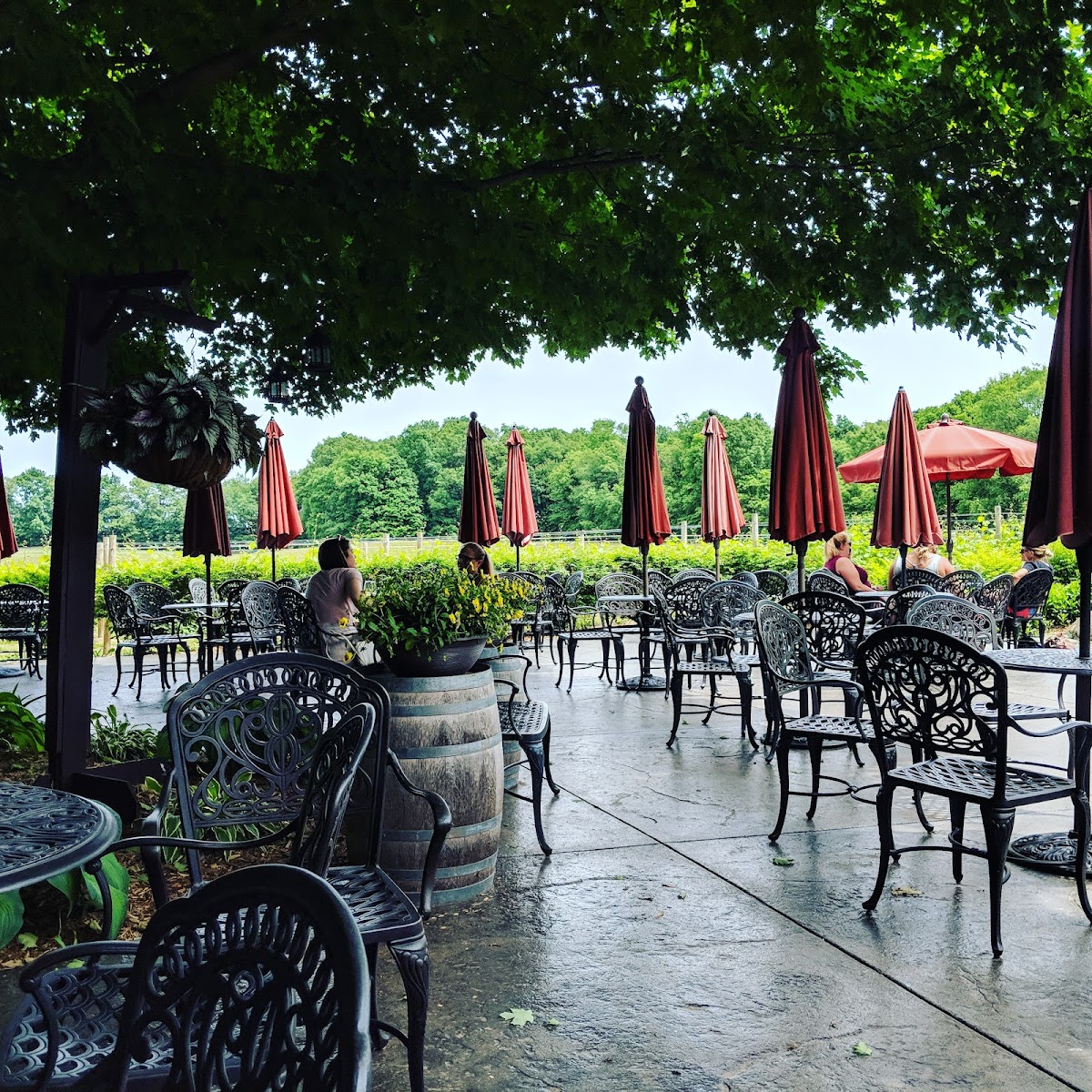 Cody Kresta Vineyard and Winery