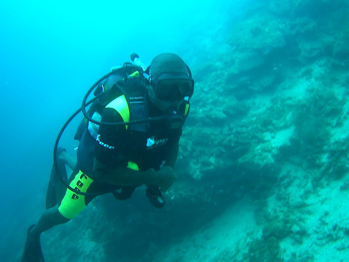 Pemba Bay