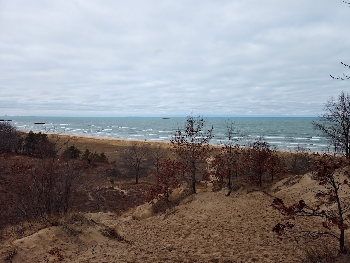 Indiana Dunes National Park Cowles Bog Trail