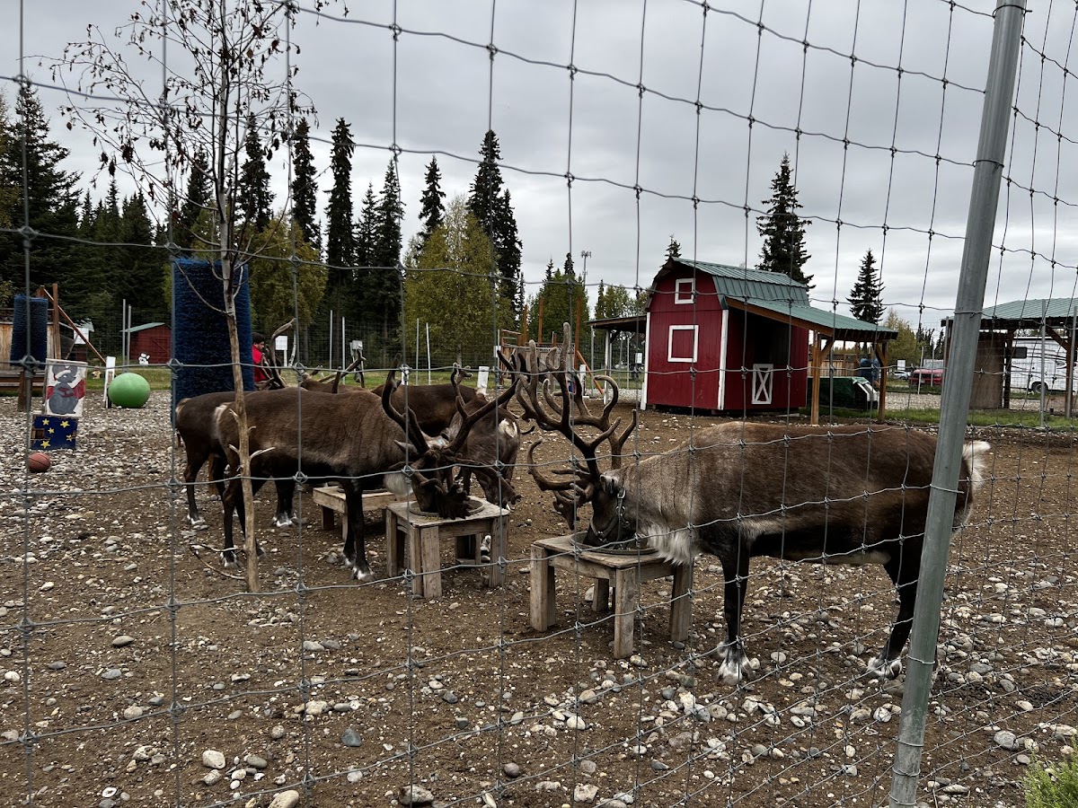 Antler Academy