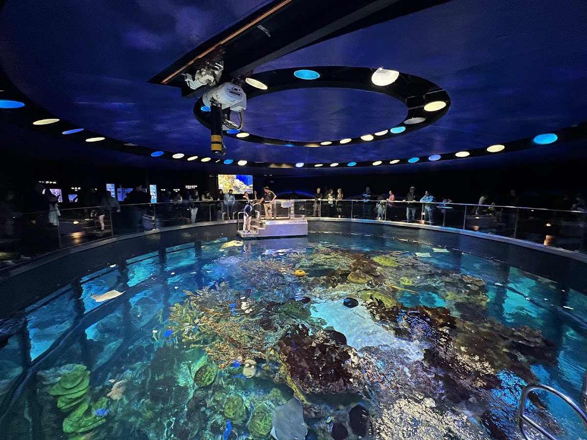 New England Aquarium