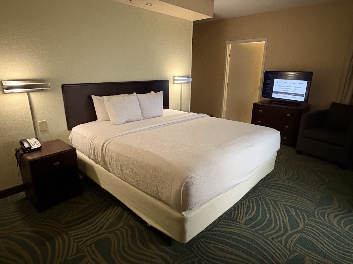 SpringHill Suites by Marriott Norfolk Old Dominion University photo 2