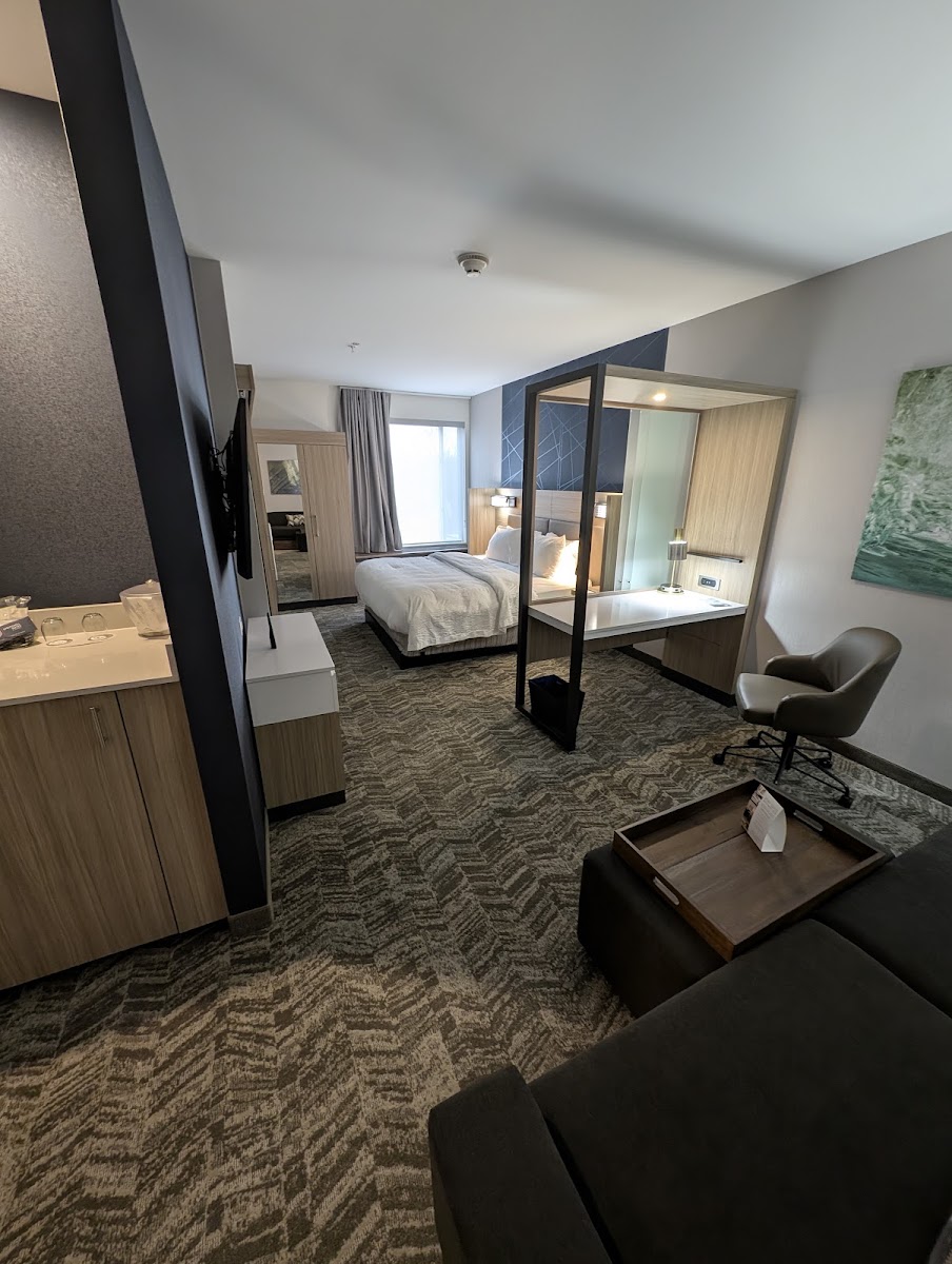SpringHill Suites by Marriott Fort Wayne Southwest photo 3