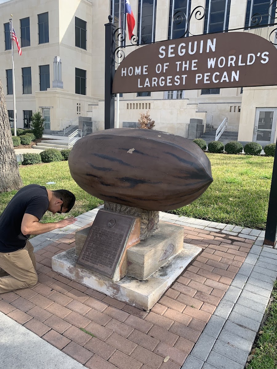 Original World's Largest Pecan Statue