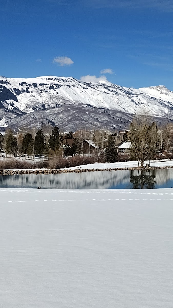 Wolf Creek Village photo 3