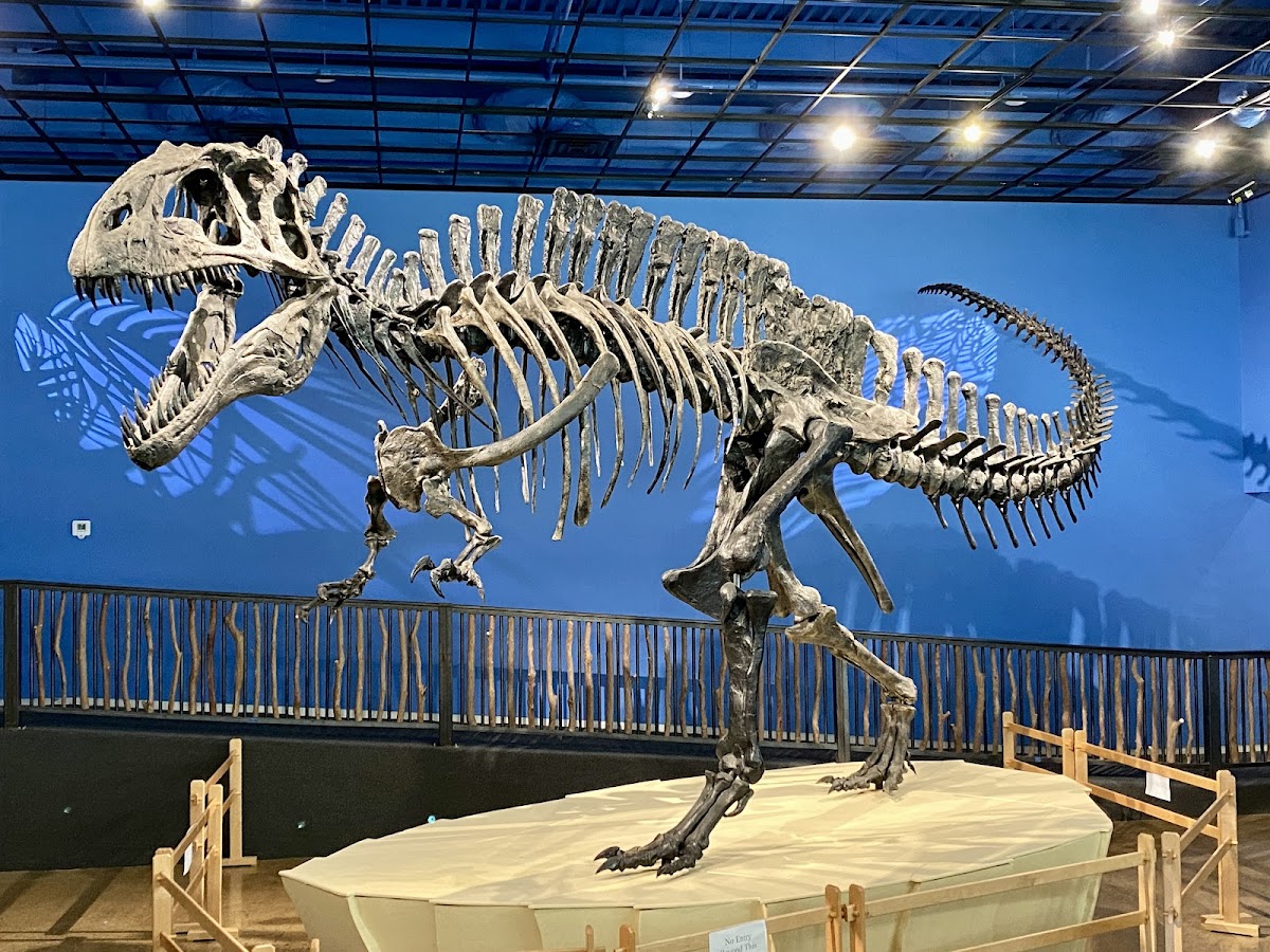 Museum of the Red River
