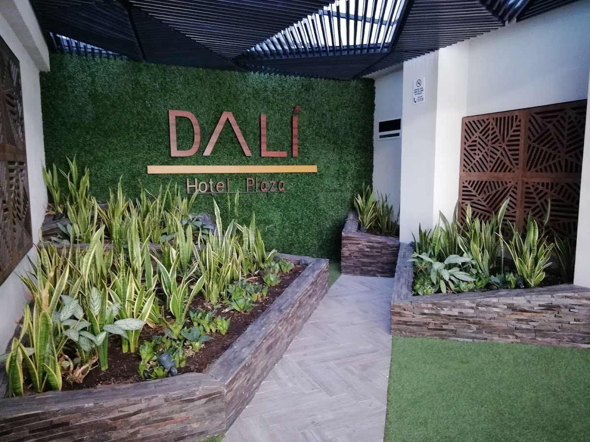 Hotel Dali Plaza photo 2
