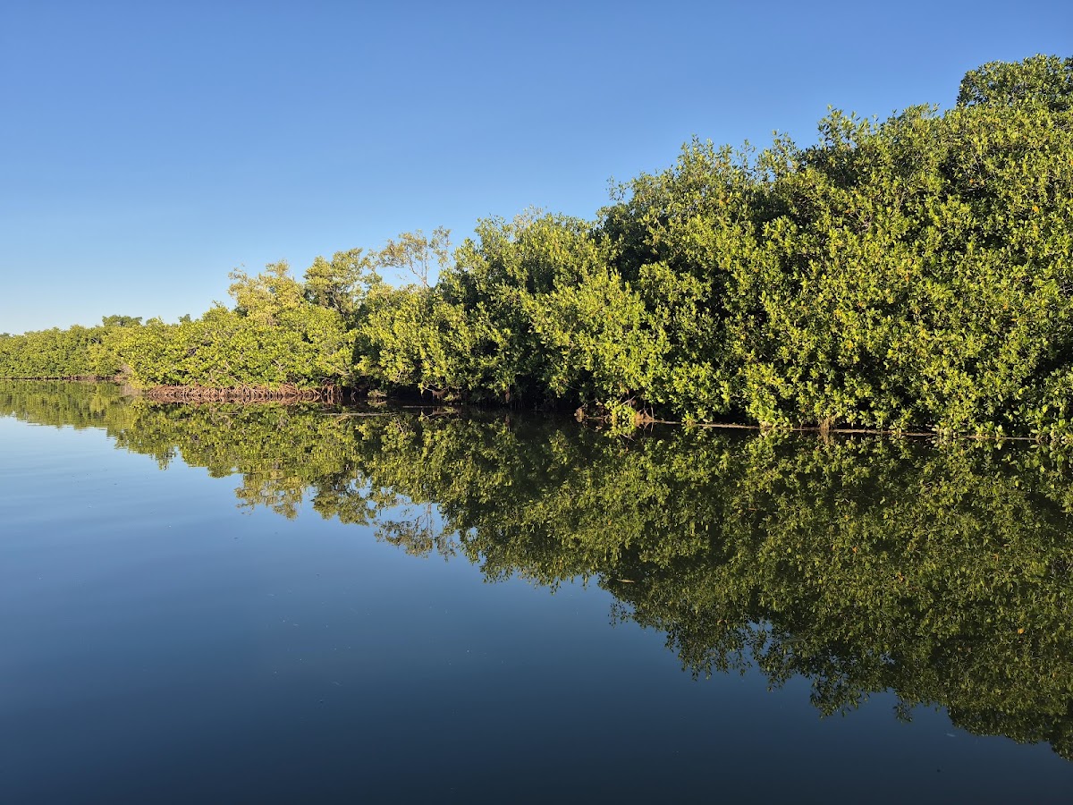 Reserva de la Biosfera Ría Lagartos