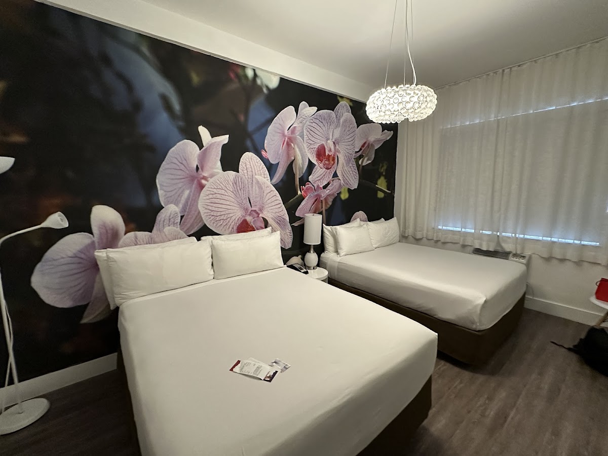 Penguin Hotel photo 2