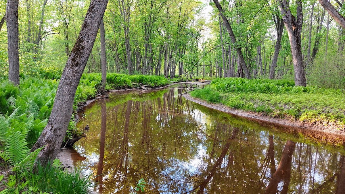 Westmeath Provincial Park