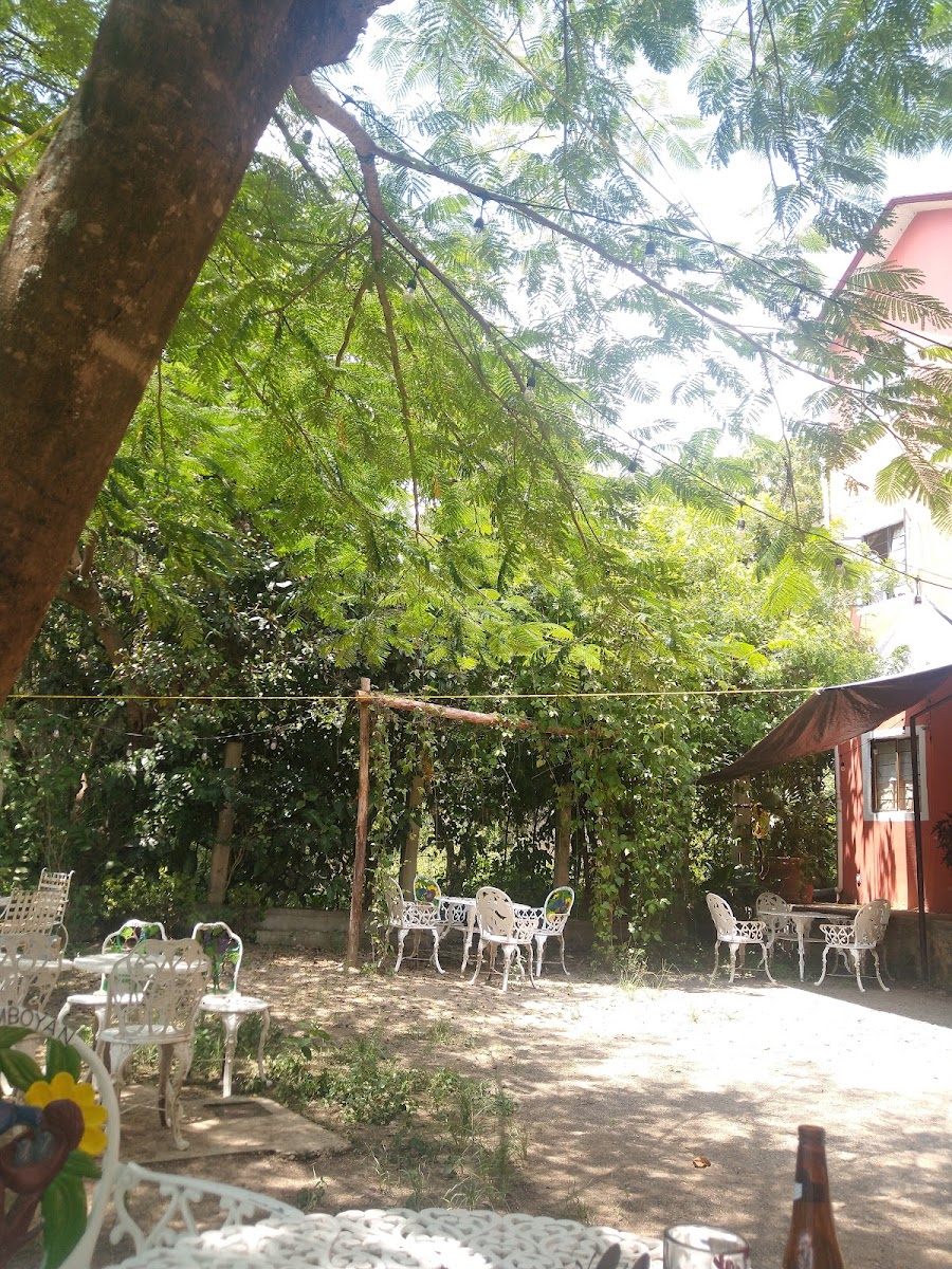 Posada el Framboyán photo 3