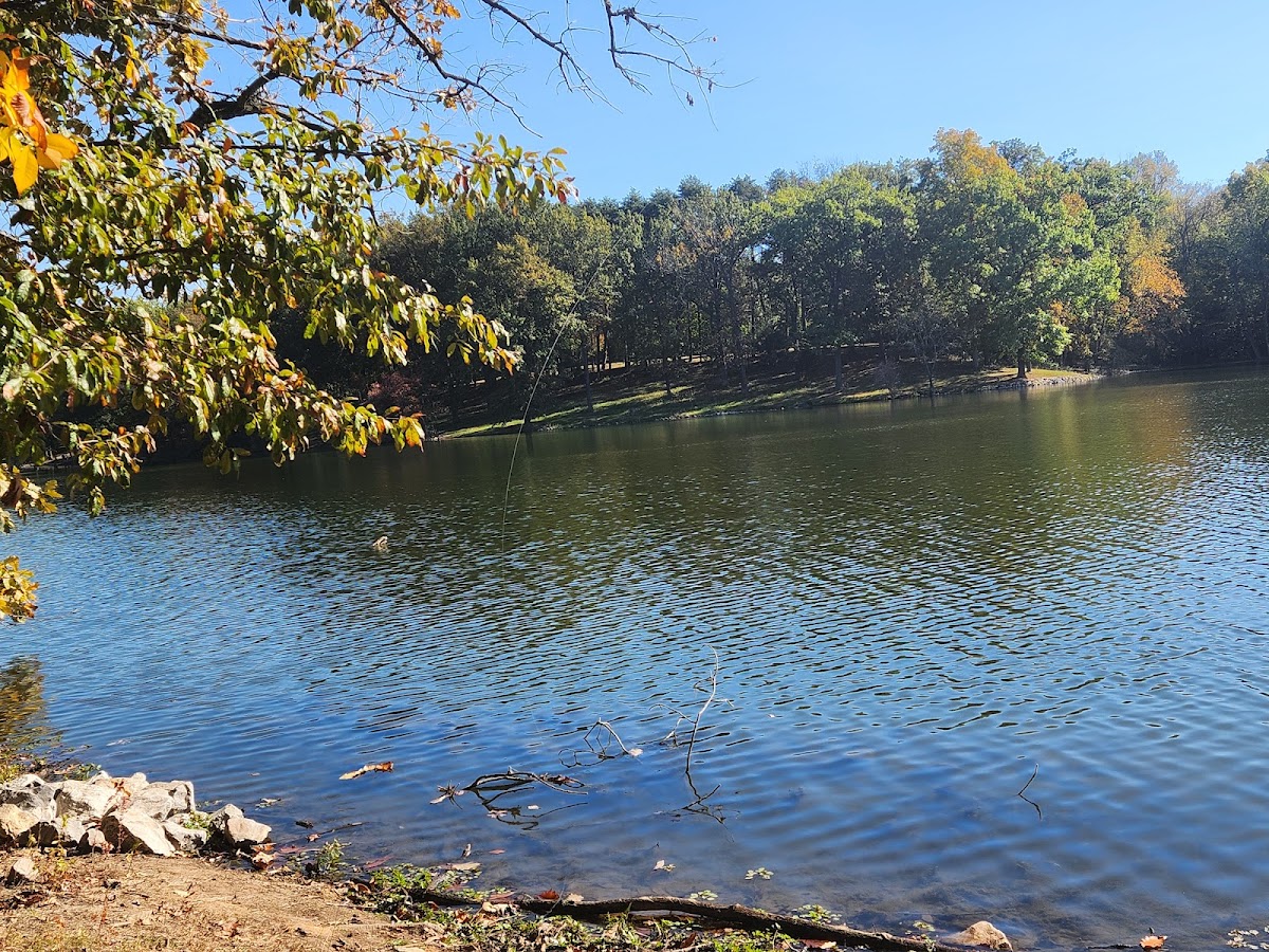 Highland Silver Lake