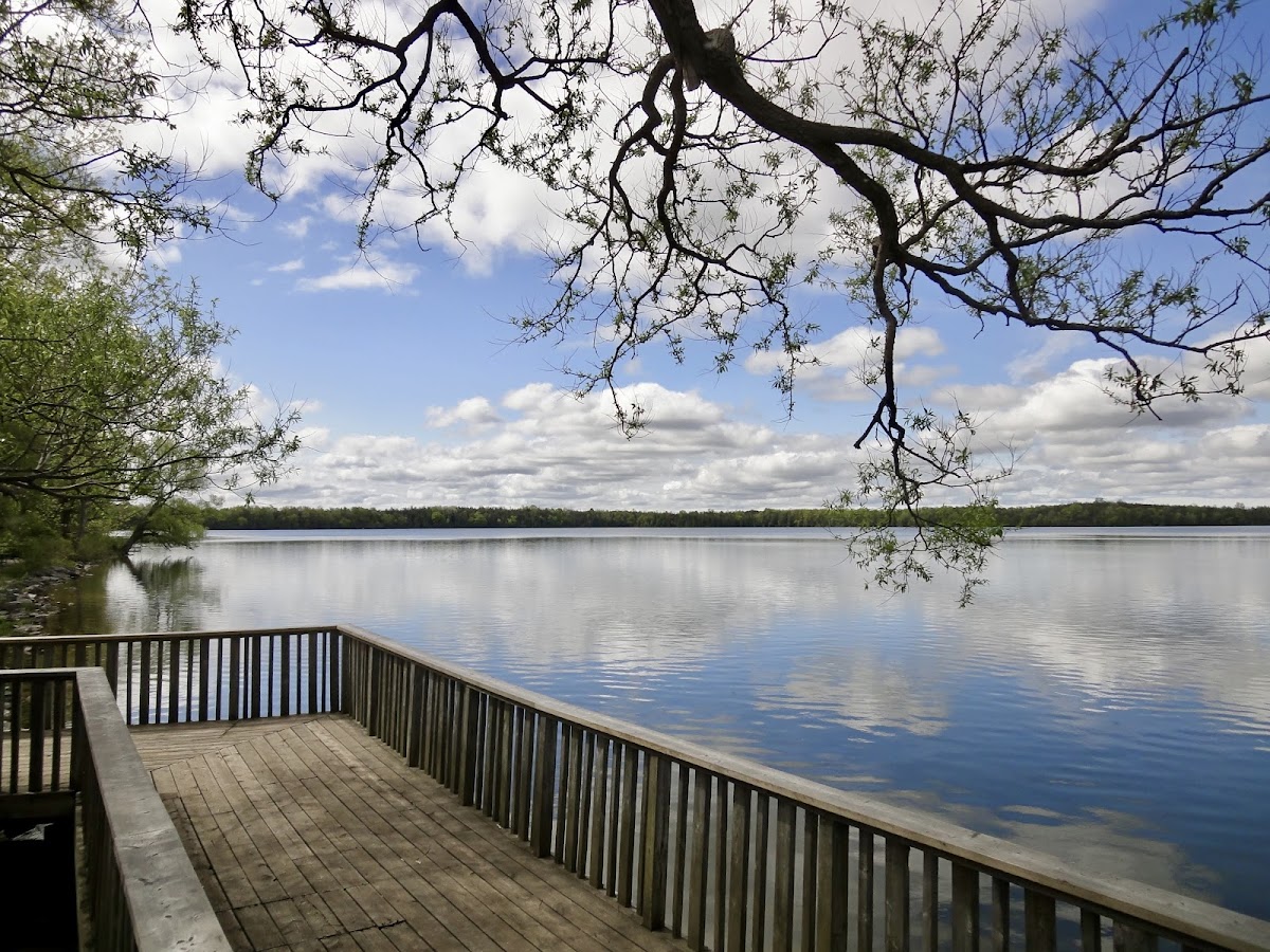 Lake on the Mountain Provincial Park