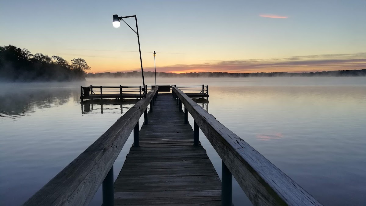 Shiloh on the Lake photo 3