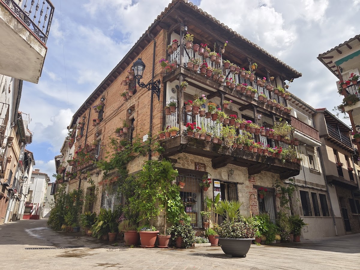 Casa de las Flores. Museo del Juguete de Hojalata. Visita al Casco Antiguo con audioguías.