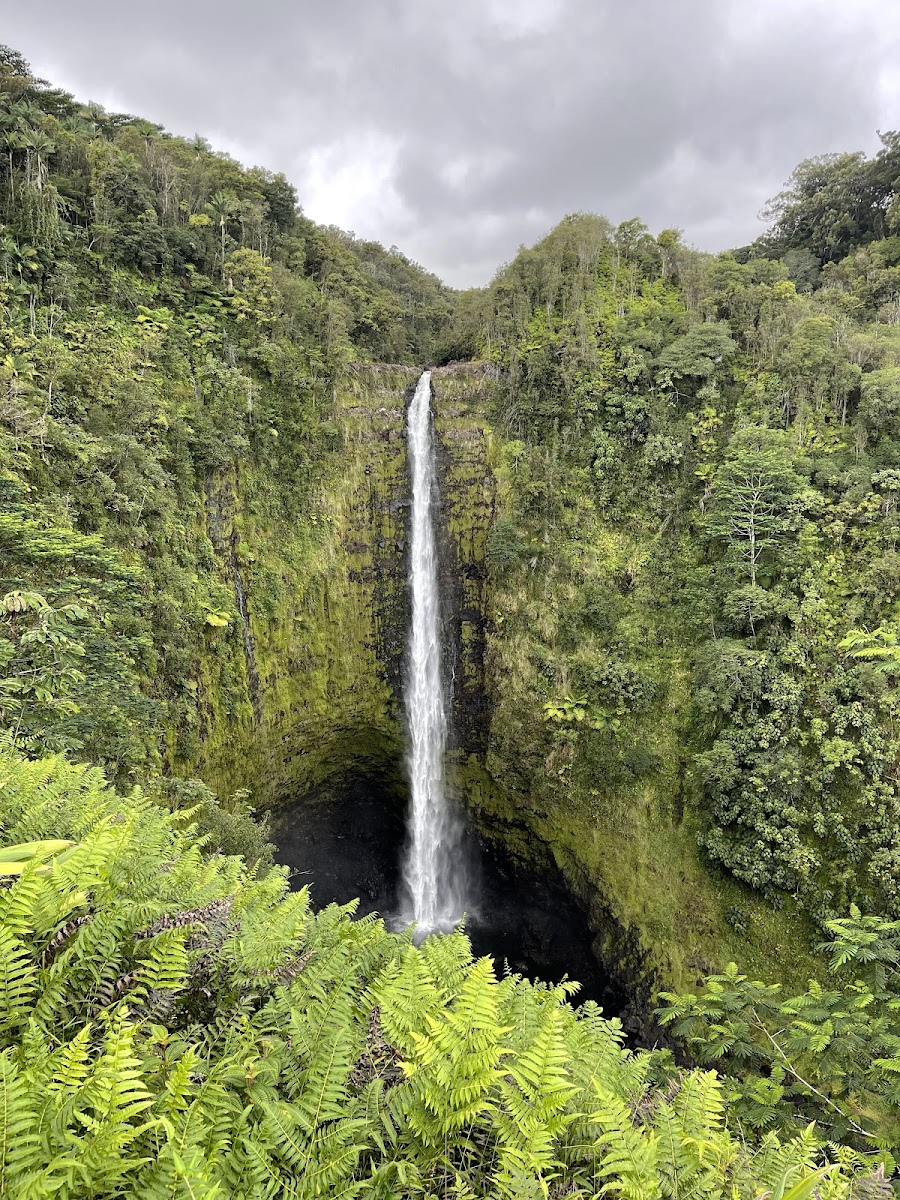 ‘Akaka Falls