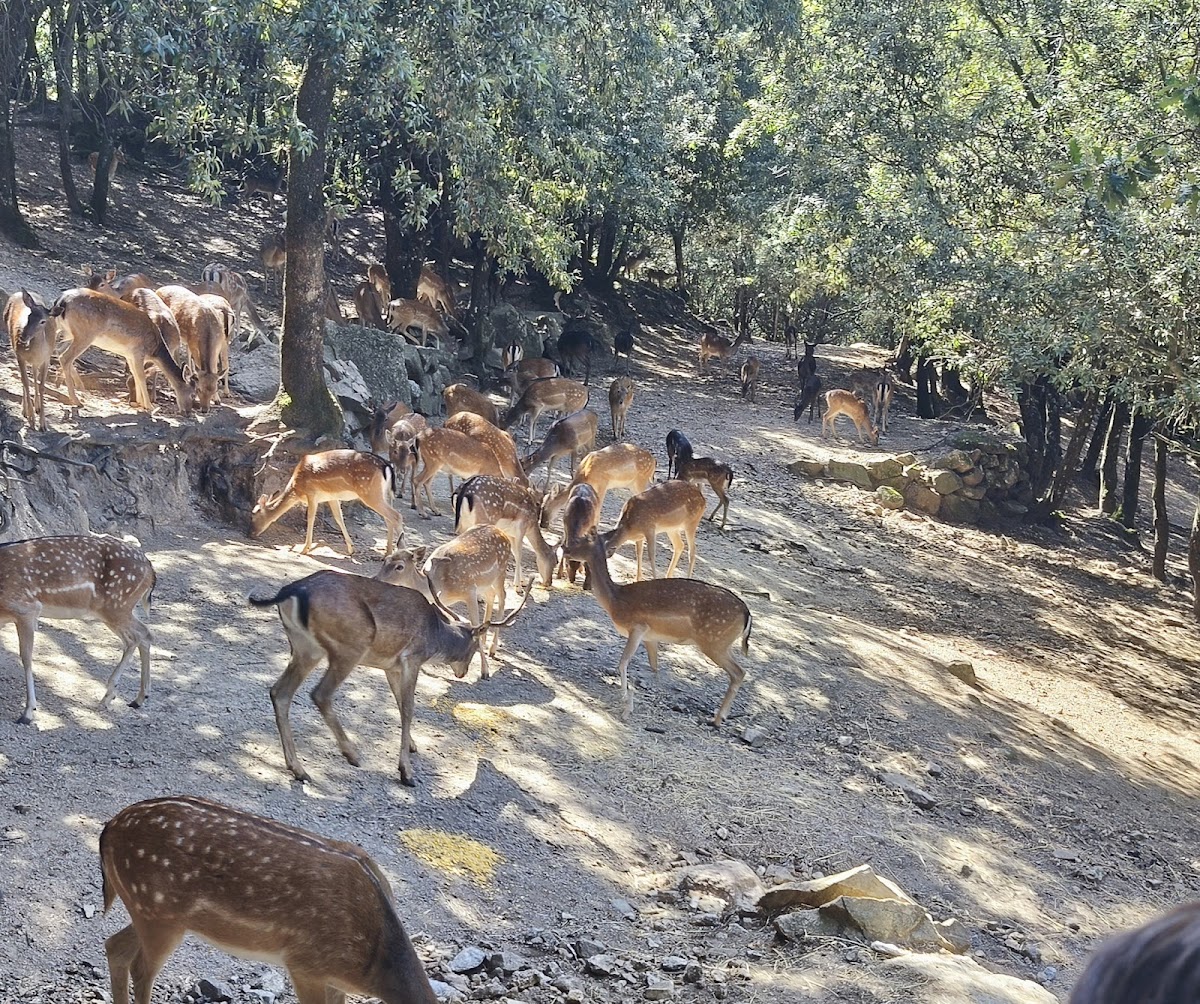 Parco Donnortei