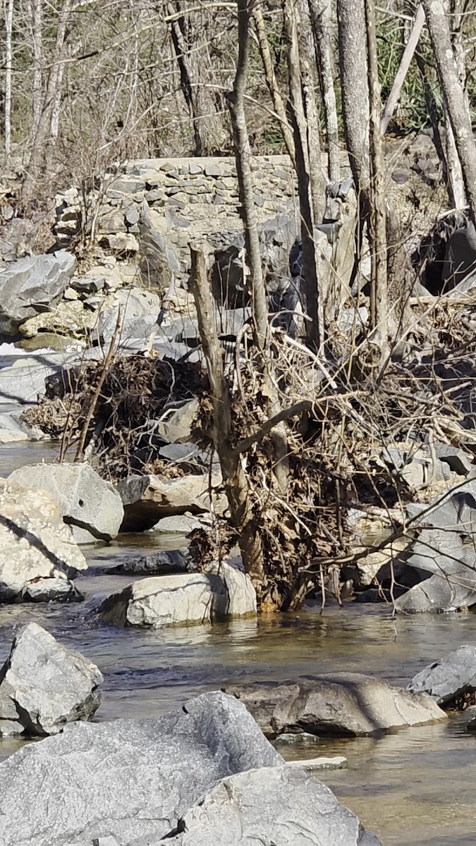 Lon Sanders Canyon Conservation Area