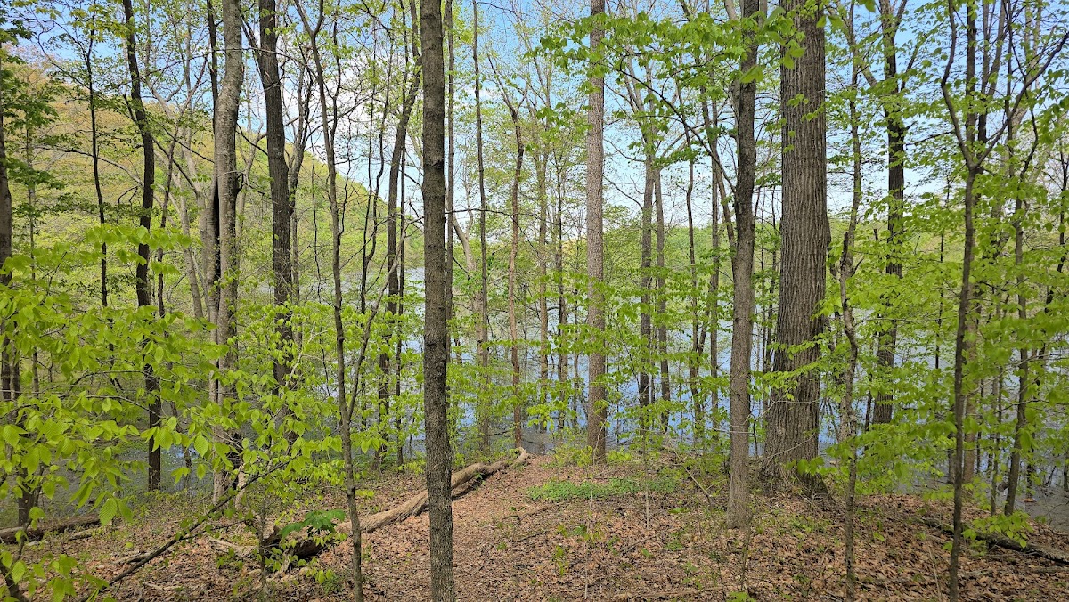 Brigadoon State Nature Preserve