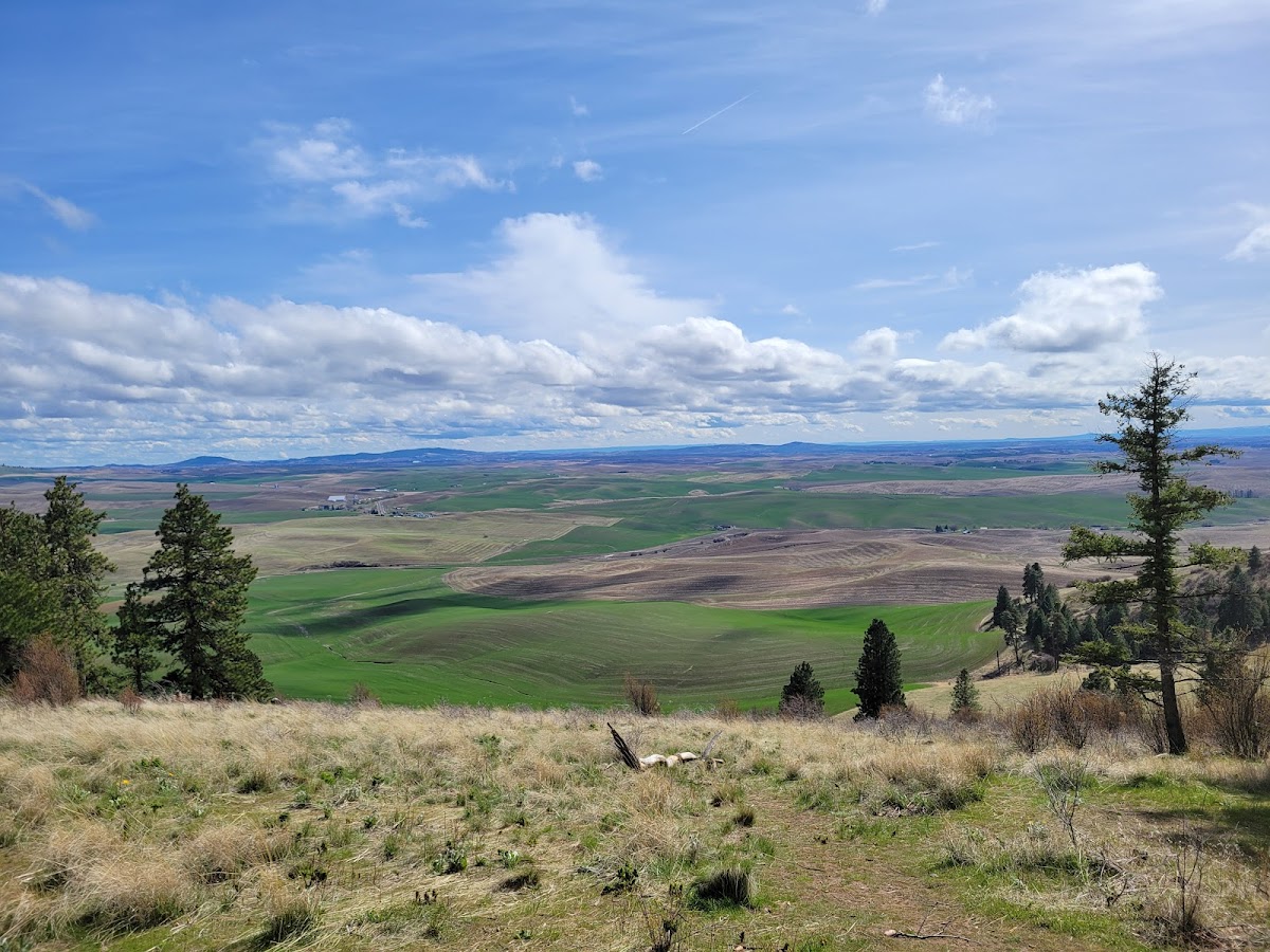 Kamiak Butte County Park