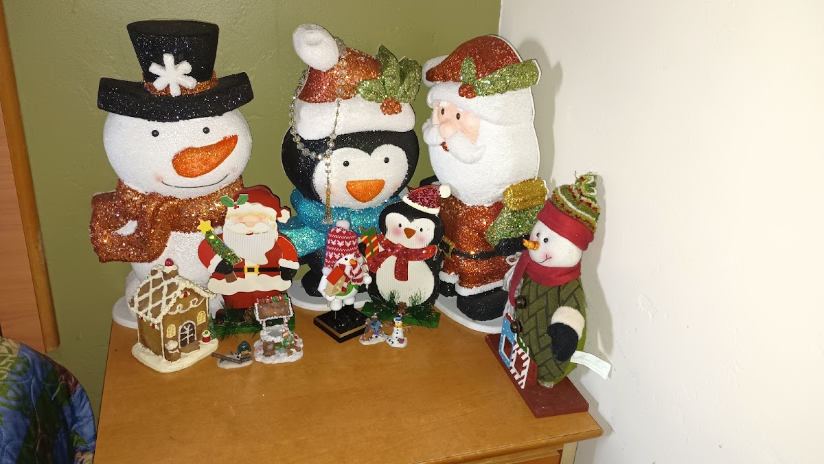 Plaza Motel & Apartments