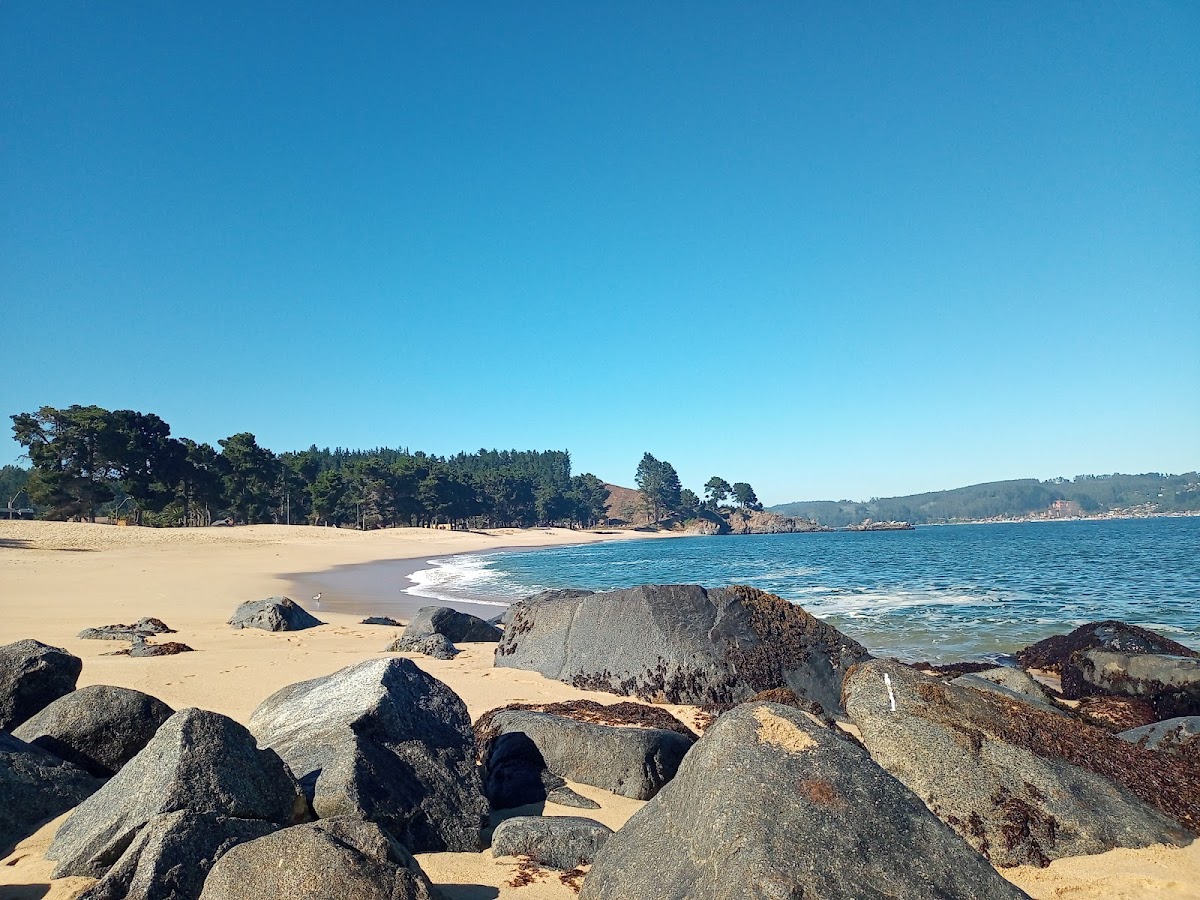 Playa Pingueral