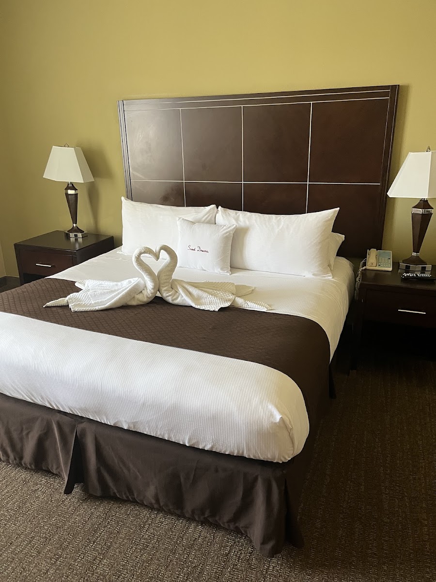 DoubleTree by Hilton Napa Valley American Canyon photo 2