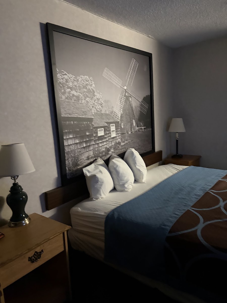 Super 8 by Wyndham Kingston photo 2