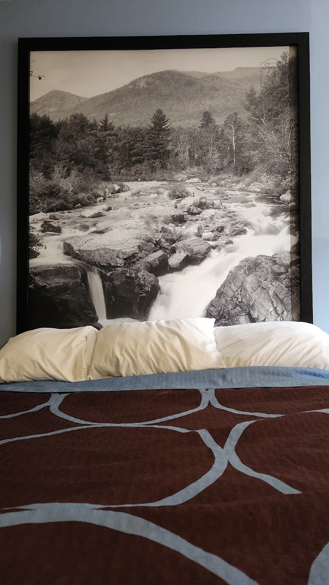 Super 8 by Wyndham Kingston photo 3