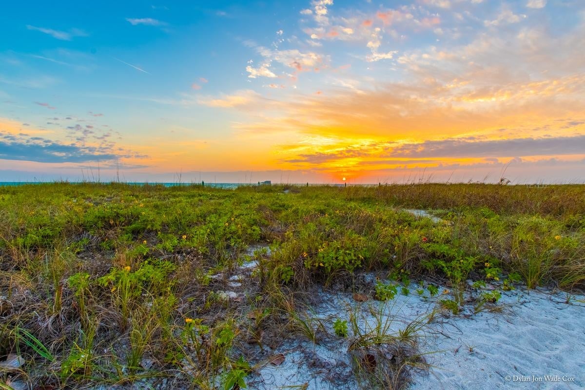 Casa Del Mar Beach Resort on Longboat Key photo 3