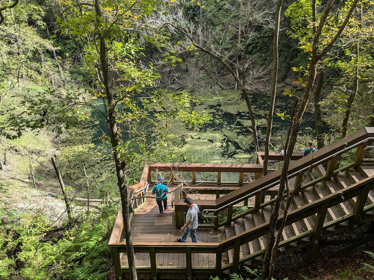 Devil's Millhopper Geological State Park